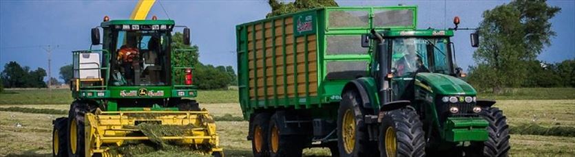 przyjazna Rolnicze usługi, Łagrom-Agro Sp. z o.o., Czarkowo